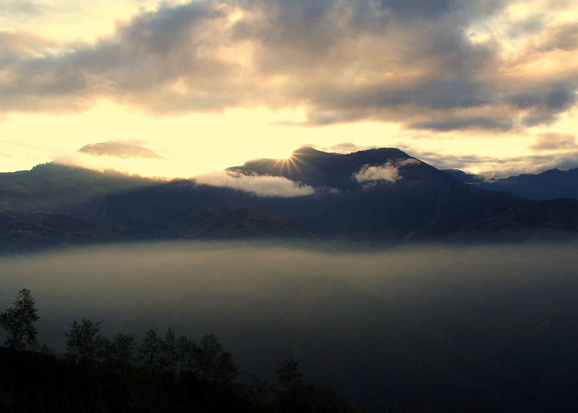 Misty mountain landscape at sunrise with soft clouds over a tea-growing region